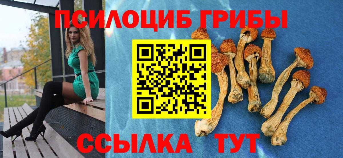 Псилоцибиновые грибы ЛСД  Вход с VPN  Галлюциногенные грибы прущие грибы  Владивосток 