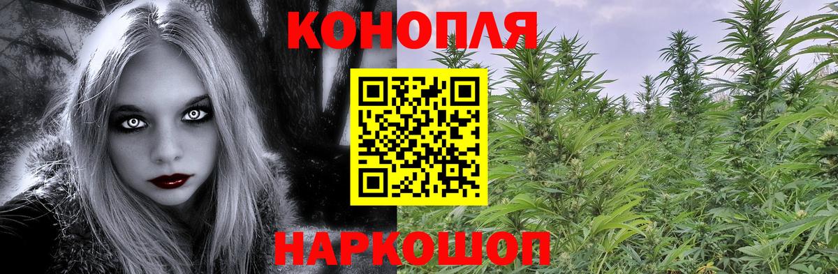 Каннабис White Widow Владивосток